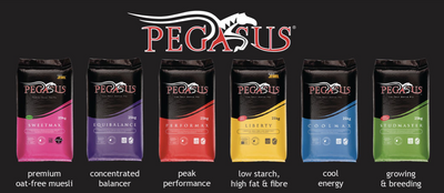 Pegasus Coolmax a Great “All-Rounder” Feed for Pleasure and Performance Horses