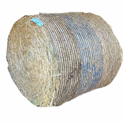 Oaten Hay Roll