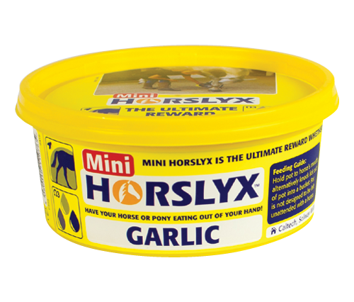 Mini Horse Lick