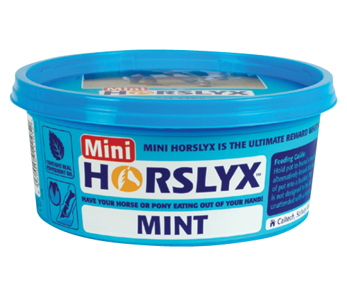 Mini Horse Lick