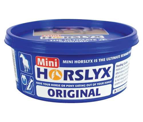 Mini Horse Lick