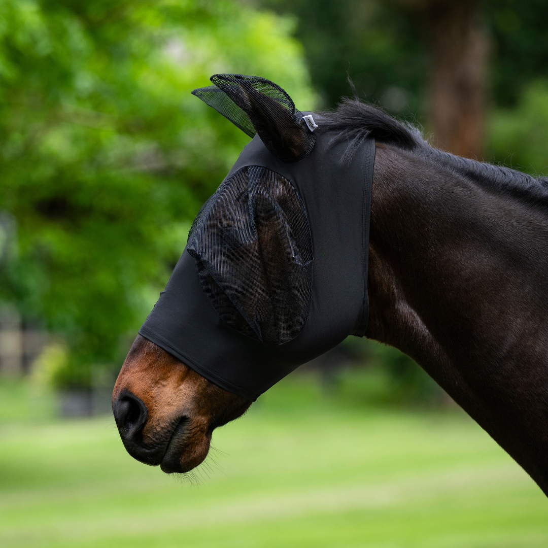Stretch Bug Eye Fly Mask