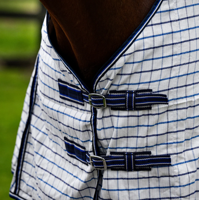 Eureka Summer Ripstop Rug