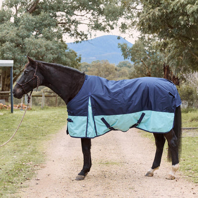 Eureka Bounty Light Rug