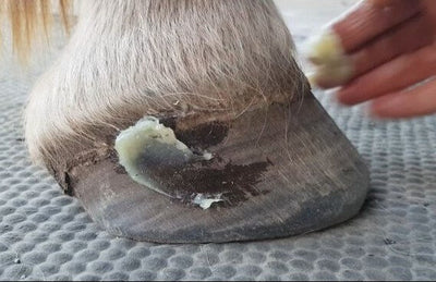Hoof Balm