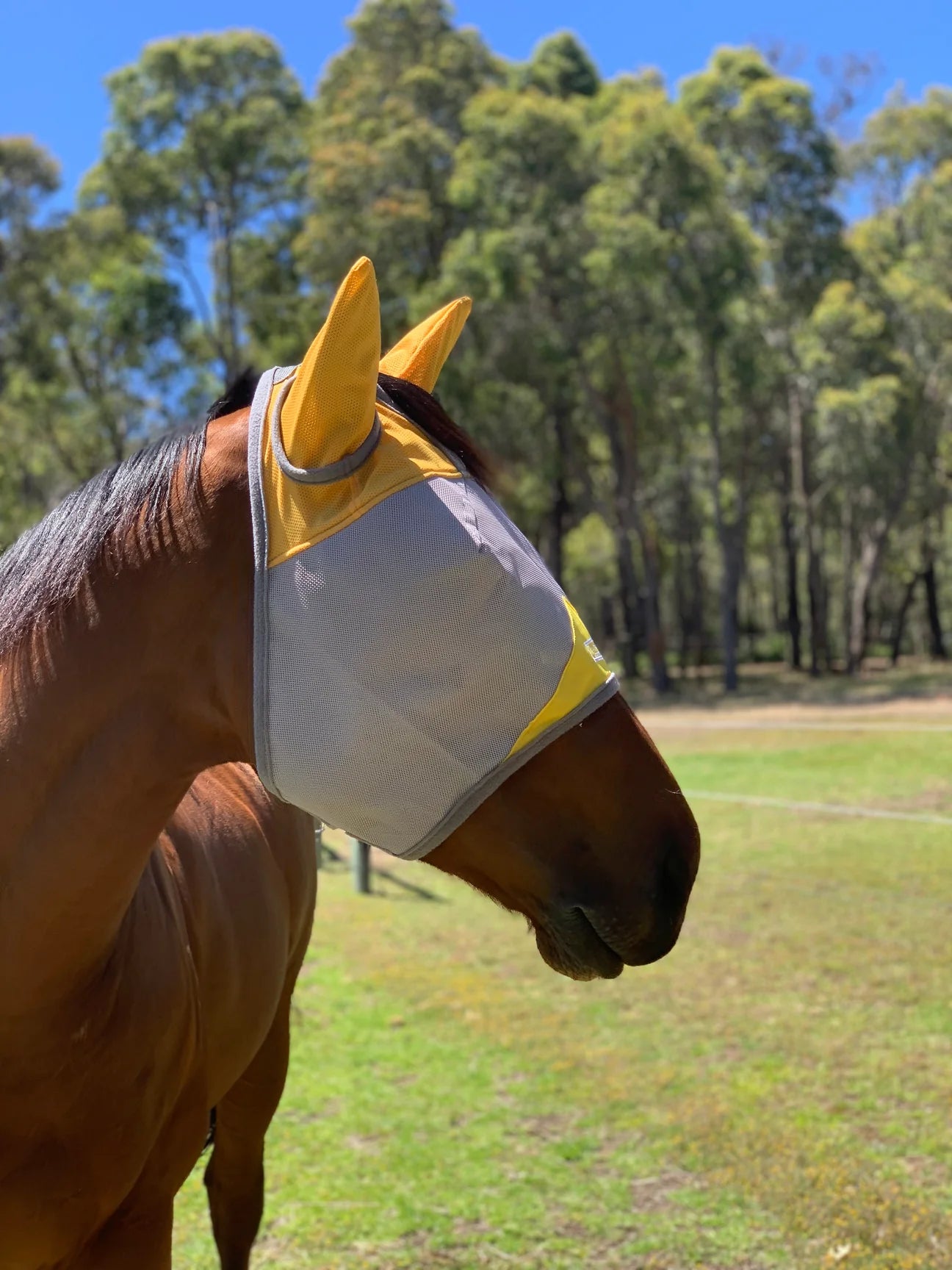 Fly Buster Fly Mask