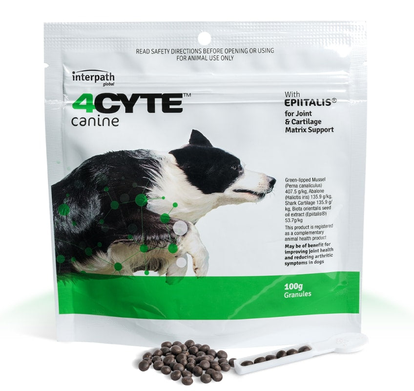 4Cyte Canine Sachet