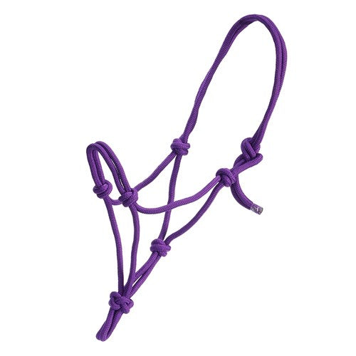 Mini Horse Halter