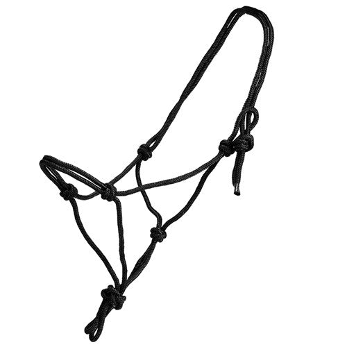 Mini Horse Halter
