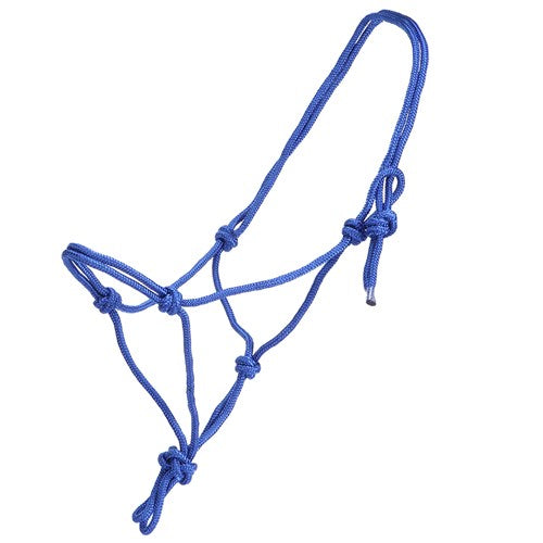Mini Horse Halter