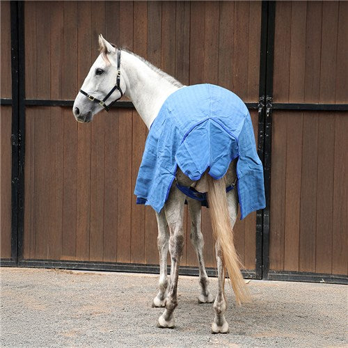 Ripstop Unlined Canvas Rug