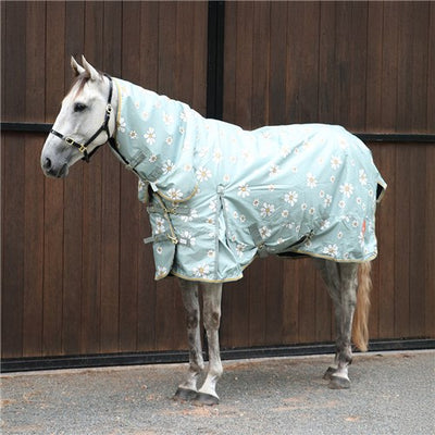 Kozy Winter Combo 1200D