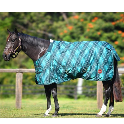 Kozy Winter Combo Detachable 1200D