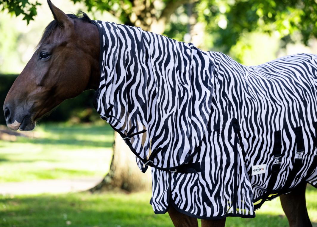 Eureka Deluxe Mesh Combo