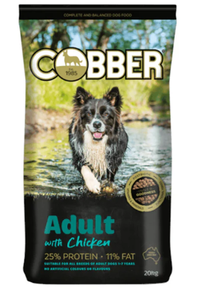 Cobber Adult Chicken