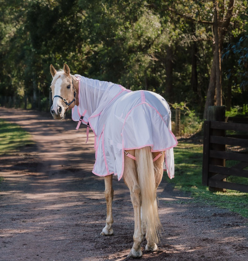 Dakota Fly Mesh Combo