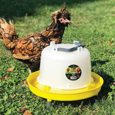Supreme Poultry Waterer