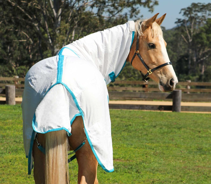 Flag Horse Rug Combo