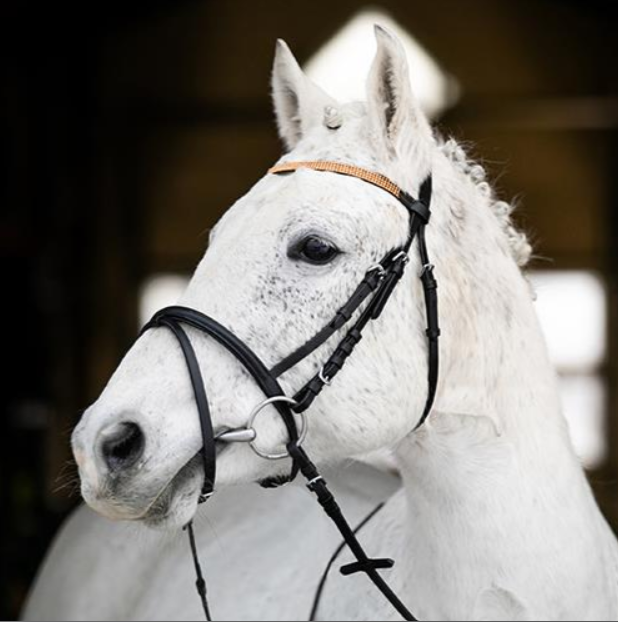 Crystal Brow Bridle