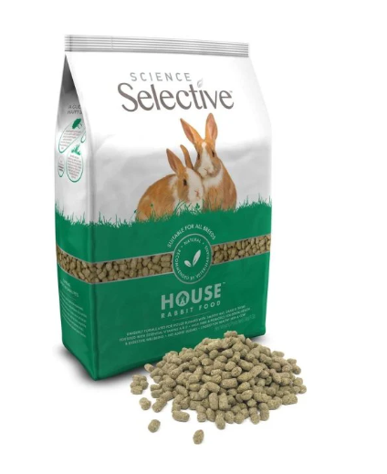 Selective House Rabbit