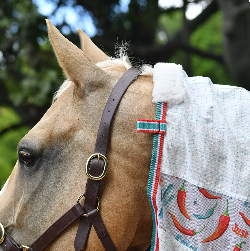 Tear-Stop Cotton Mesh Combo