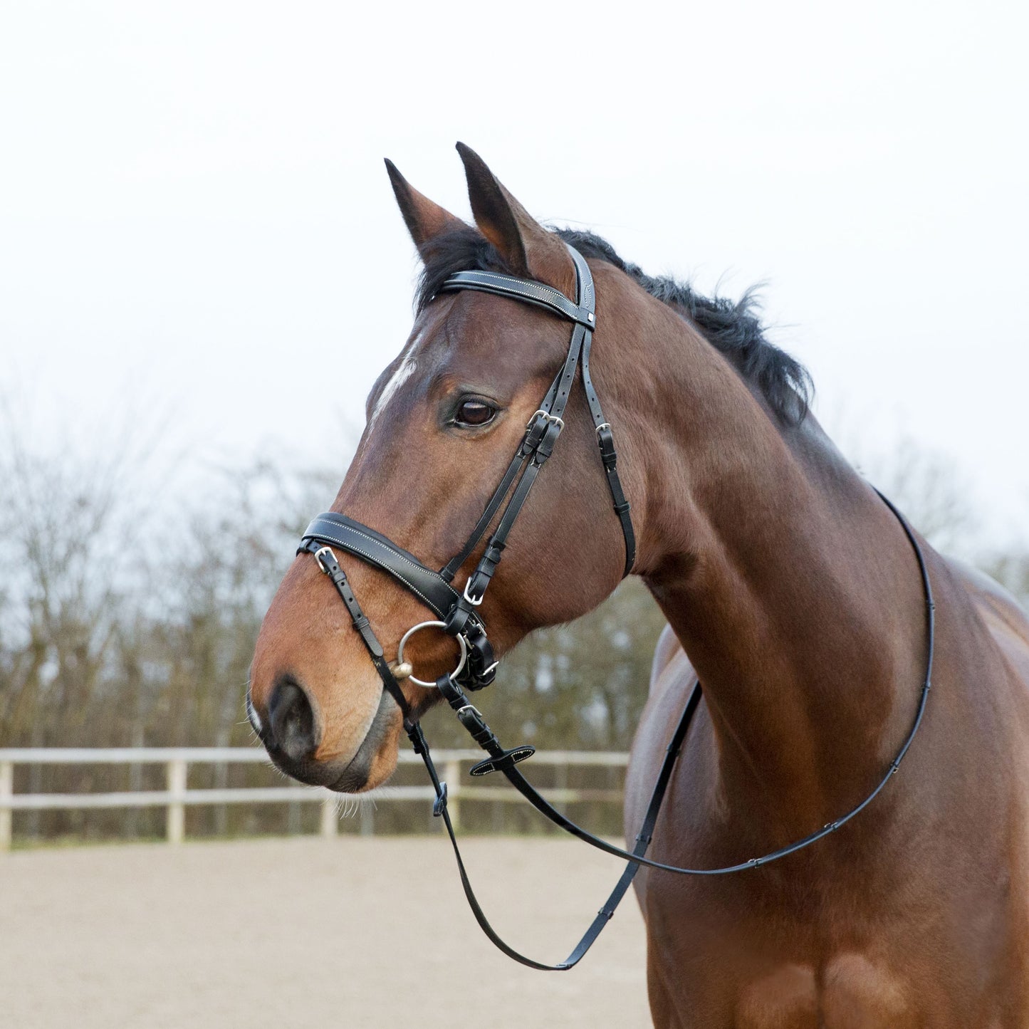 Venice Bridle