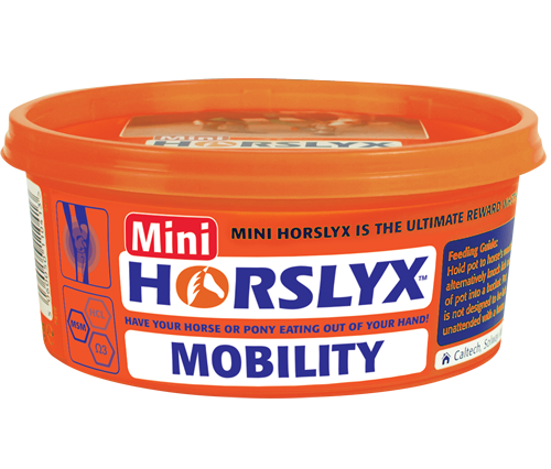 Mini Horse Lick