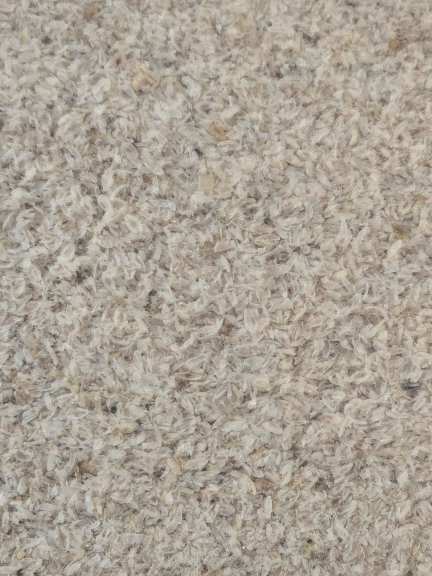 Psyllium Husk
