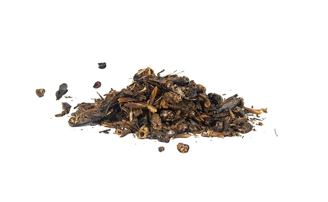 Dried Crickets