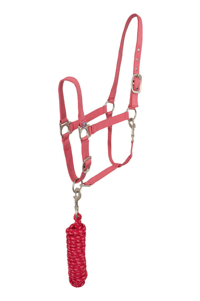 Rose Tonique Halter & Lead Set