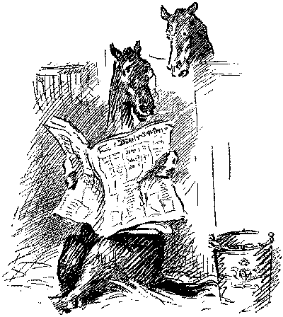 Hoofbeats - Wanneroo Stockfeeders