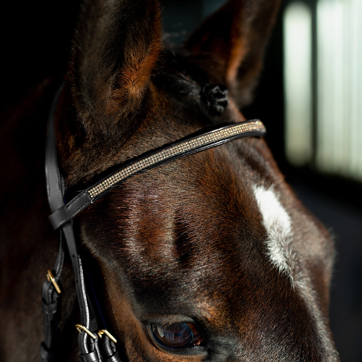 Crescendo Lester Bridle - Wanneroo Stockfeeders