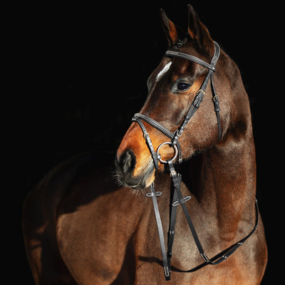 Constance Bridle with Stictching - Wanneroo Stockfeeders