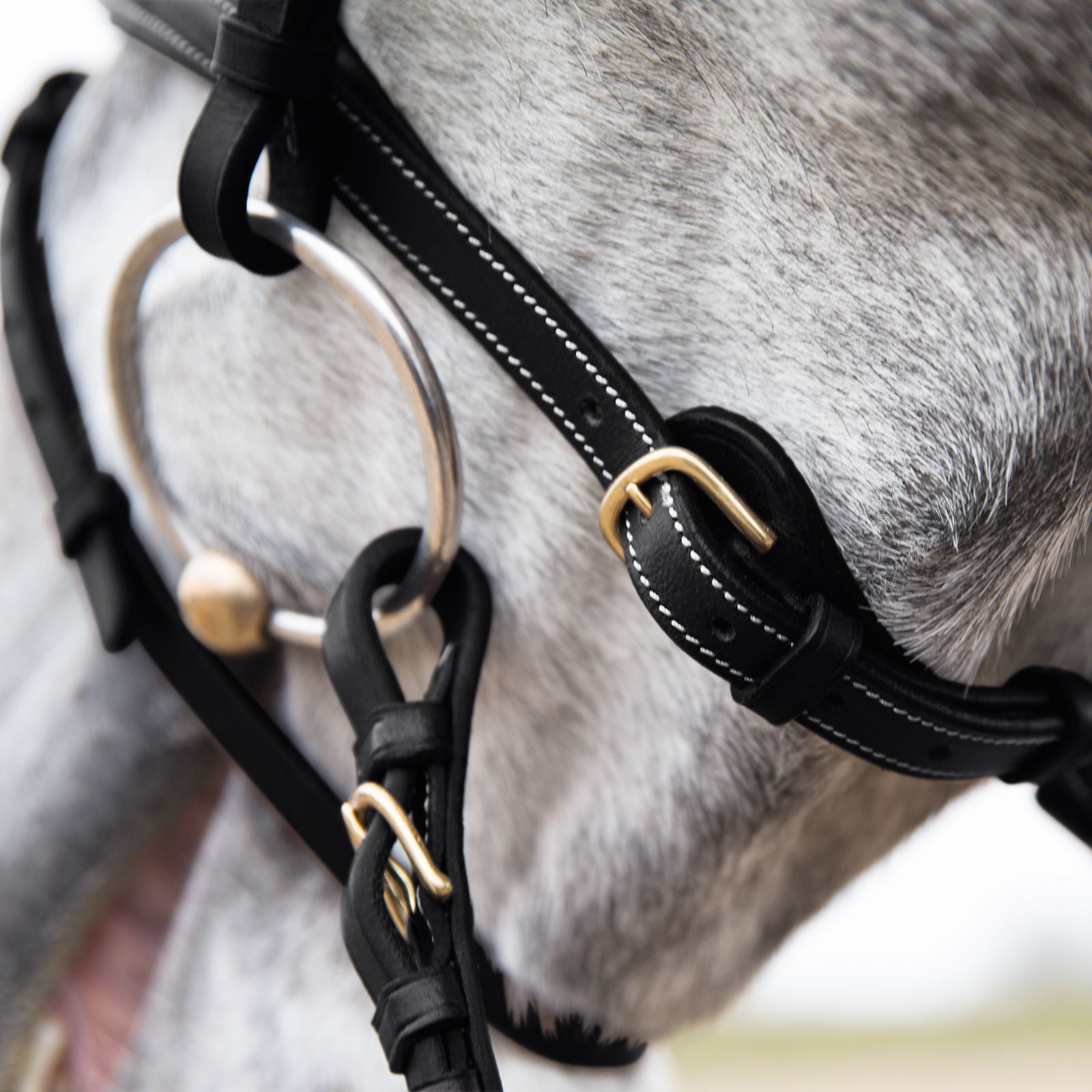 Constance Bridle with Stictching - Wanneroo Stockfeeders