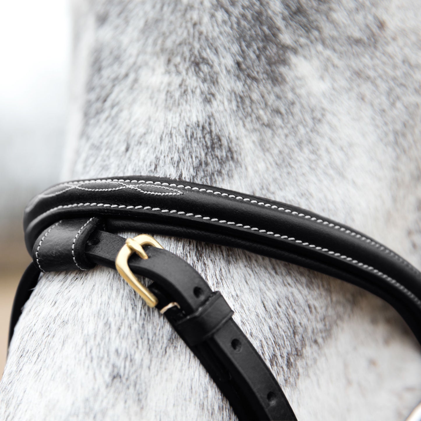 Constance Bridle with Stictching - Wanneroo Stockfeeders