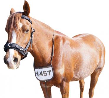 Breastplate Number Holder - Wanneroo Stockfeeders