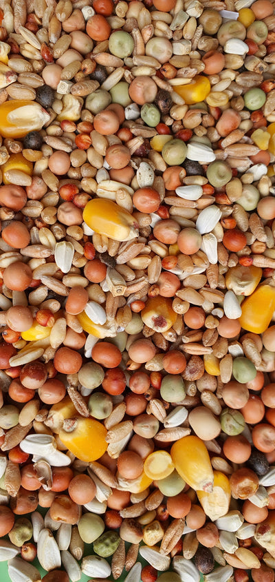 Pigeon Racing Mix - Wanneroo Stockfeeders