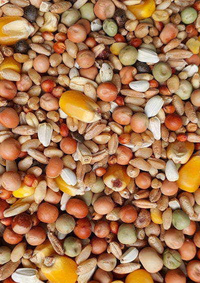 Pigeon Mix - Wanneroo Stockfeeders