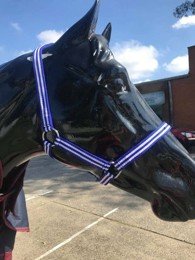 Buzz Halter - Wanneroo Stockfeeders