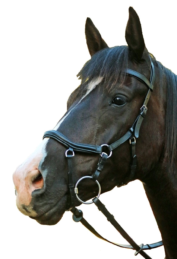 Competition Bridle - Micklem Style - Wanneroo Stockfeeders