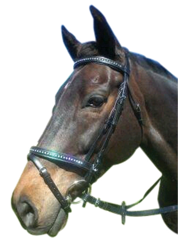 Luciana Jewelled HNB Bridle - Wanneroo Stockfeeders
