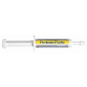 Protexin Paste - Wanneroo Stockfeeders