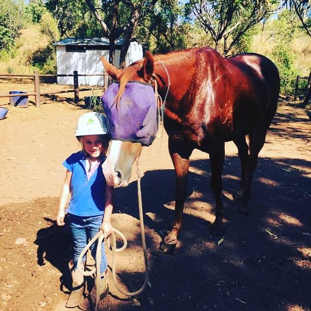 Fly Veil Mask - Wanneroo Stockfeeders