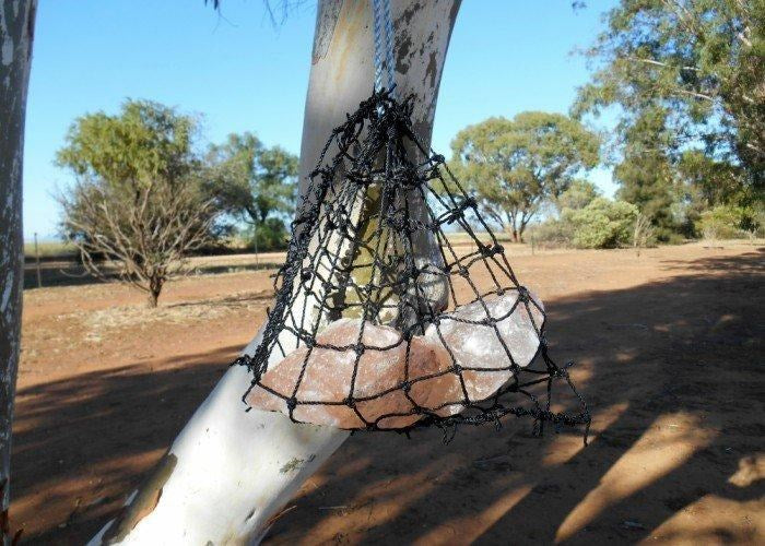 Salt Lick Net - Wanneroo Stock Feeders