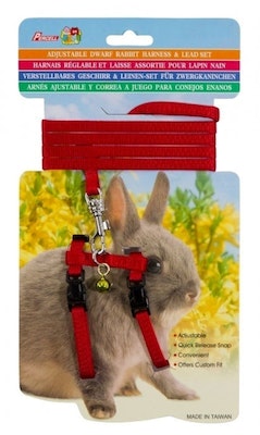 Rabbit Harness - Wanneroo Stock Feeders