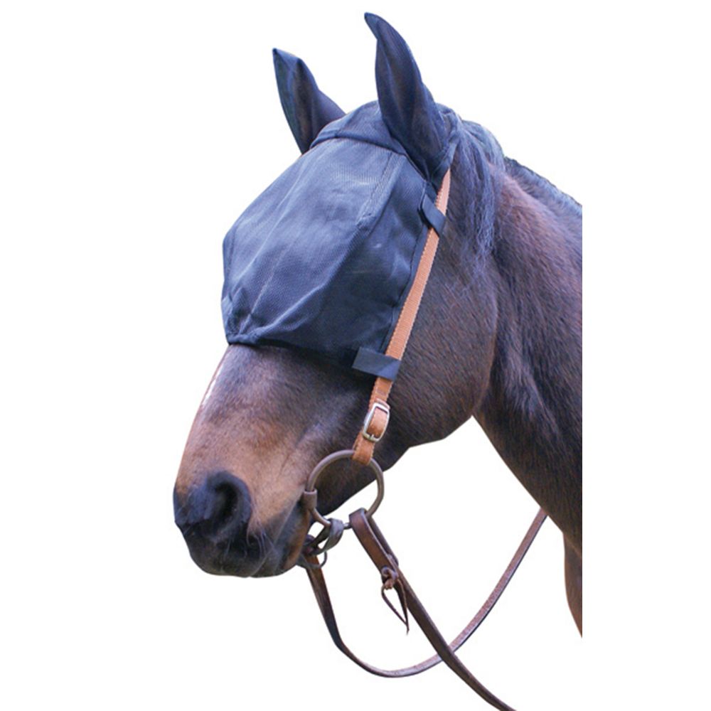 Fly Veil Bridle - Wanneroo Stockfeeders