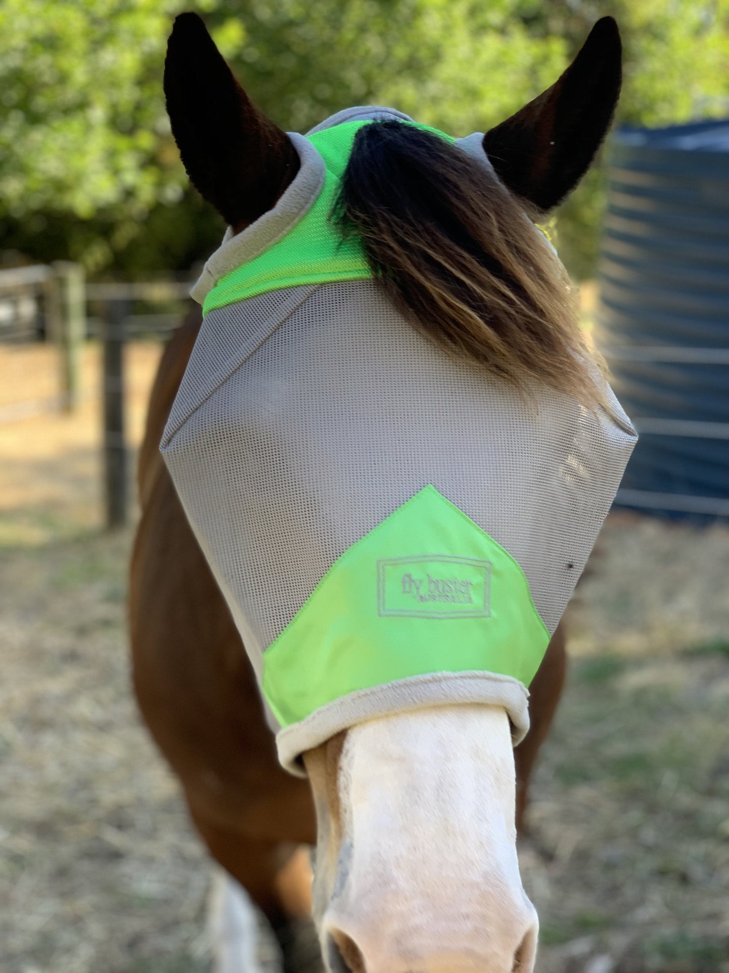 Fly Buster Fly Mask - Wanneroo Stock Feeders