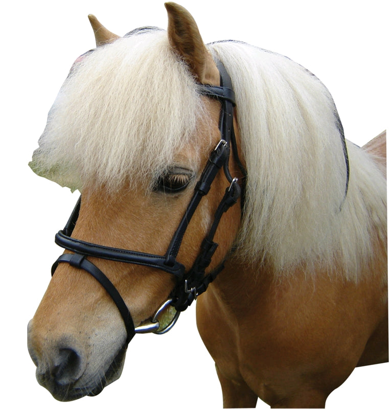 Miniature Bridle - Wanneroo Stockfeeders