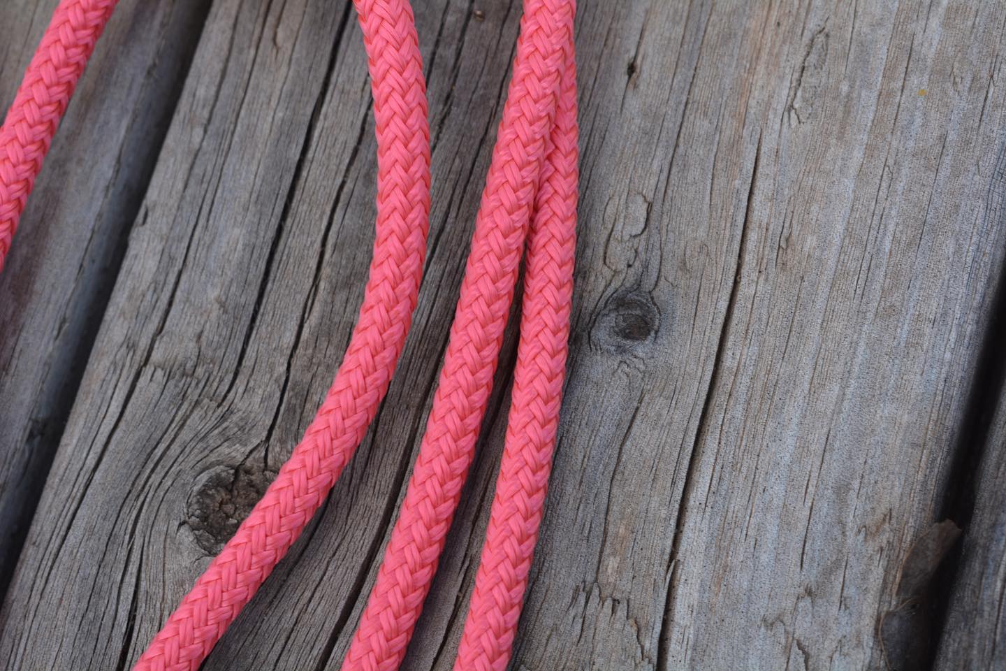TES Rope Halter - Wanneroo Stockfeeders