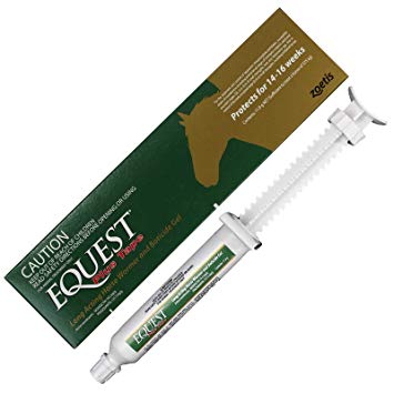 Equest Gel Paste - Wanneroo Stockfeeders